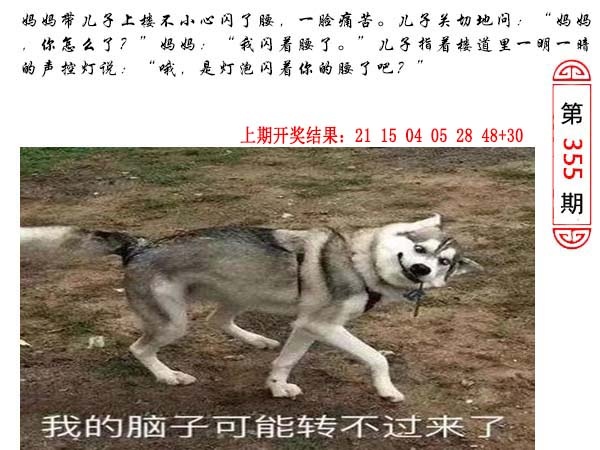 355期澳门生活幽默[图]