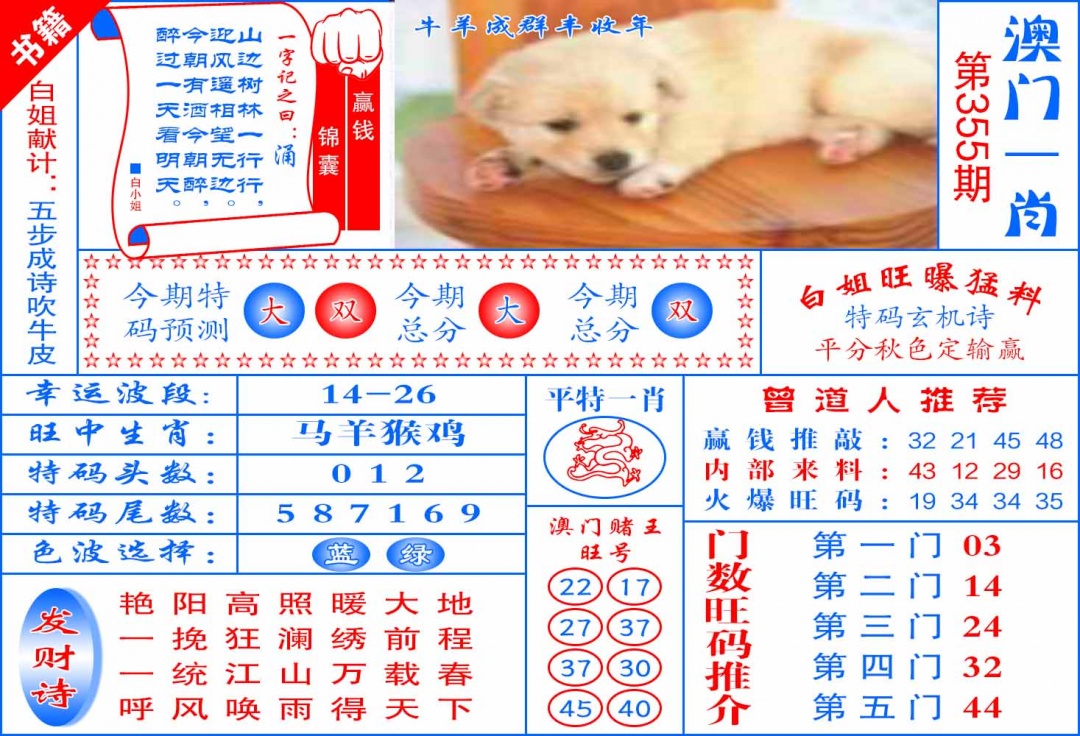 355期澳门东北虎[图]