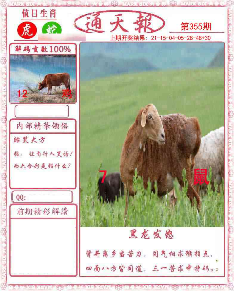355期正版通天报[图]