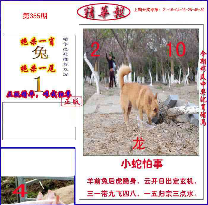 355期新精华报报[图]