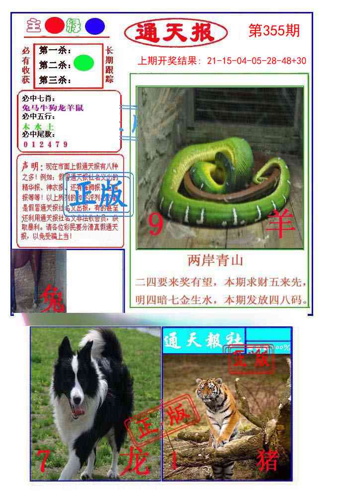 355期通天杀波图1[图]