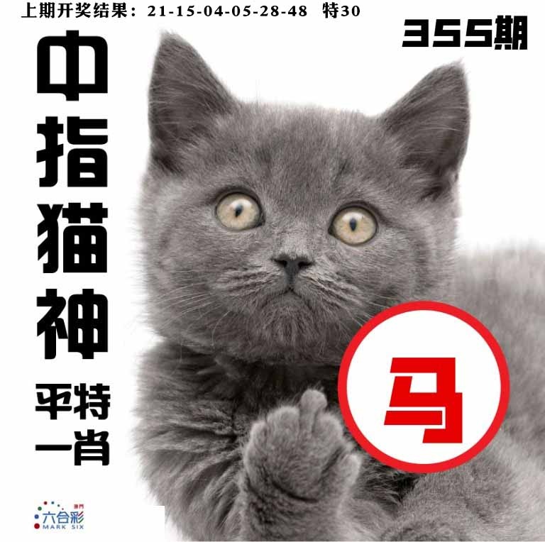 355期中指猫神[图]