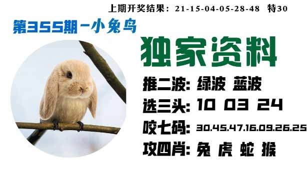 355期小兔鸟[图]
